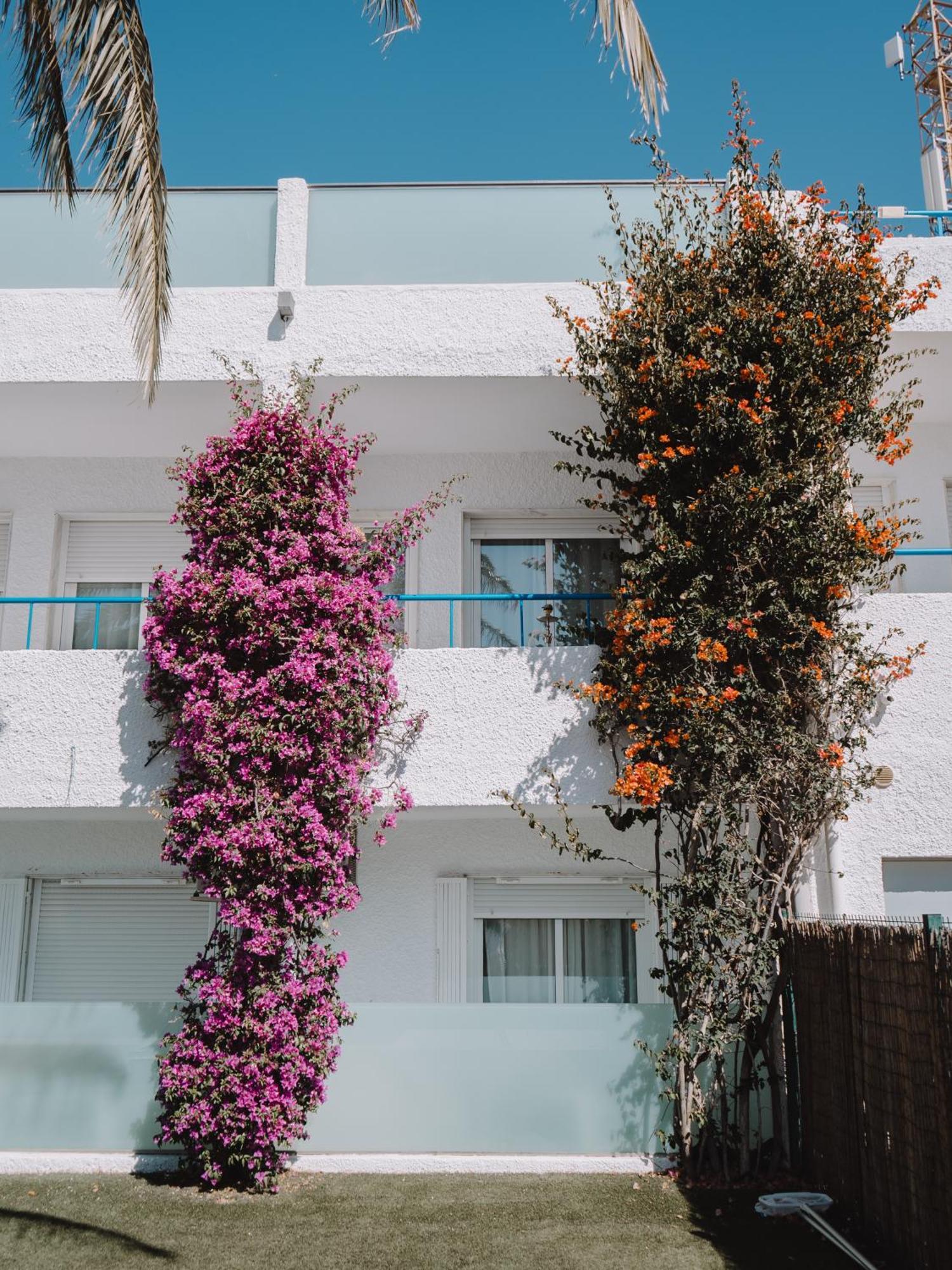 Hostal Las Gaviotas Del Cabo San José Exteriör bild