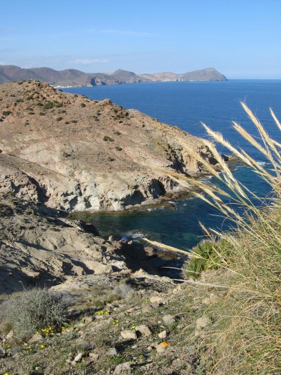 Hostal Las Gaviotas Del Cabo San José Exteriör bild